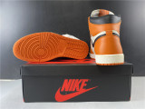 Air Jordan 1