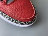 Air Jordan 3