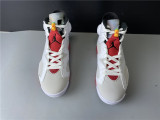 Air Jordan 6