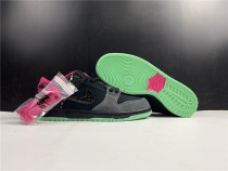 N*ike SB Dunk Low Premier Northern Lights 724183-063