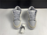 N*ike Dunk SB L TRD AR0778-110