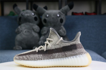 Y*eezy Boost 350 V2  Zyon