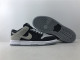 N*IKE SB DUNK LOW TRD