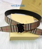 B*rberrry  Belts Top Version