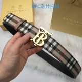 B*rberrry  Belts Top Version