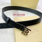 B*rberrry  Belts Top Version