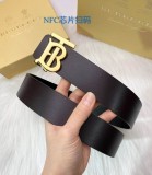 B*rberrry  Belts Top Version