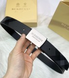B*rberrry  Belts Top Version