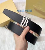 B*rberrry  Belts Top Version