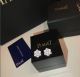  Earrings006