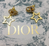  Earrings010