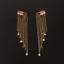  Earrings006