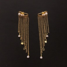  Earrings006