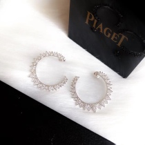  Earrings004