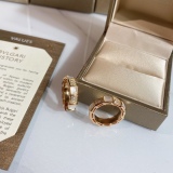 Earrings005