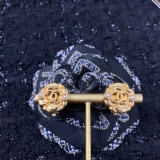 Earrings011