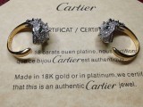 Ring002