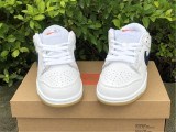 N*ike SB Dunk Low CZ2249 100