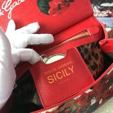 D*olce&G*abbana  Top Bag 25*20*12cm