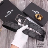 C*oach Belts Top Version