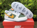 N*ike SB Dunk Low DN2489-300
