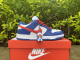 N*ike SB Dunk Low GS CW1590-104