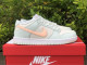 N*ike SB Dunk Low DD1503-104