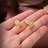  Earrings008
