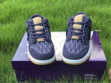 N*ike SB Dunk Low  DN1441-500