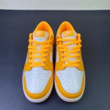 N*ike Dunk SB Low