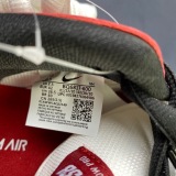 N*ike Dunk SB Low “Chicago” BQ6817-600