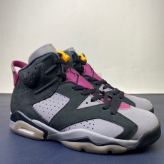 Air Jordan 6