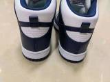 N*ike SB Dunk High DD1399-104