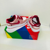 Kids SB Dunk Shoes