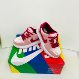 Kids SB Dunk Shoes
