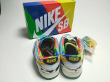 Kids SB Dunk Shoes