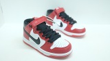 Kids SB Dunk Shoes