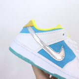 Kids SB Dunk Shoes