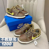 Kids SB Dunk Shoes