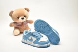 Kids SB Dunk Shoes