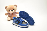 Kids SB Dunk Shoes