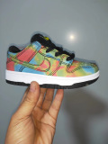 Kids SB Dunk Shoes