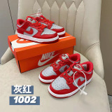 Kids SB Dunk Shoes