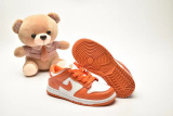 Kids SB Dunk Shoes