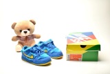 Kids SB Dunk Shoes