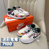 Kids SB Dunk Shoes