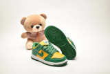 Kids SB Dunk Shoes