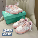 Kids SB Dunk Shoes