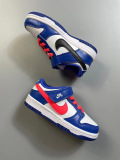Kids SB Dunk Shoes