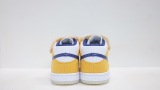 Kids SB Dunk Shoes